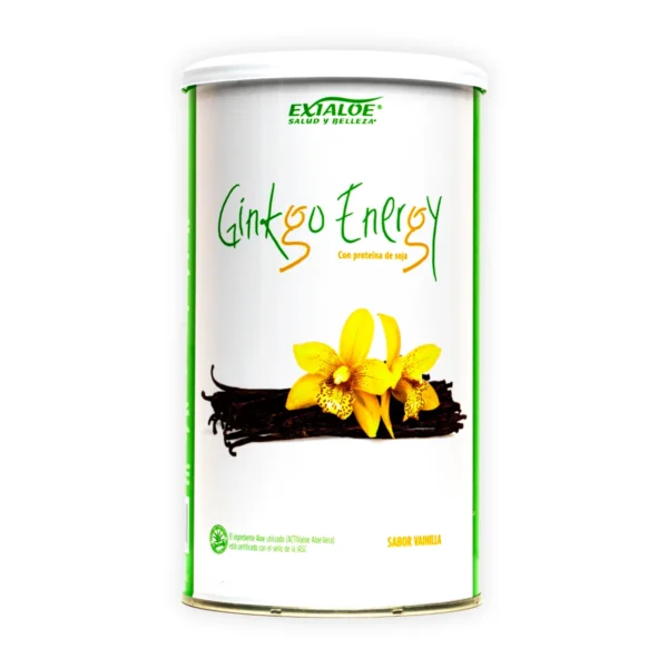 Ginko Energy