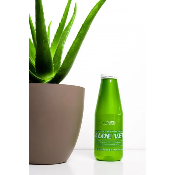 Jugo Aloe 100% Natural 1:1 Estabilizado en frío 1000ml